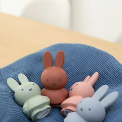 Tirelire Miffy | Terra