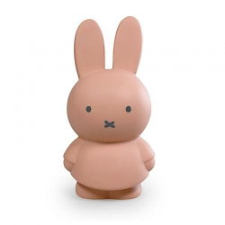 Tirelire Miffy | Poudre