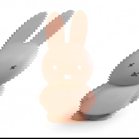 Tirelire Miffy | Poudre - Sélection déco