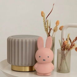 Tirelire Miffy | Poudre
