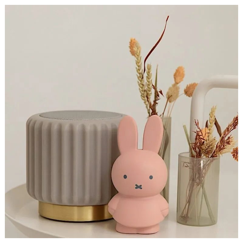 Tirelire Miffy | Poudre
