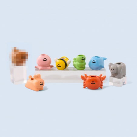 Surprise box | Animaux - Fluid Market