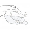 Biberon 150 ml | Elephant