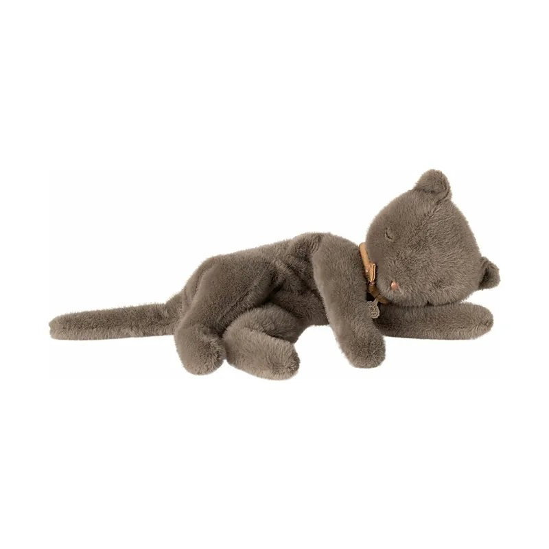 Petit chat endormi | Gris