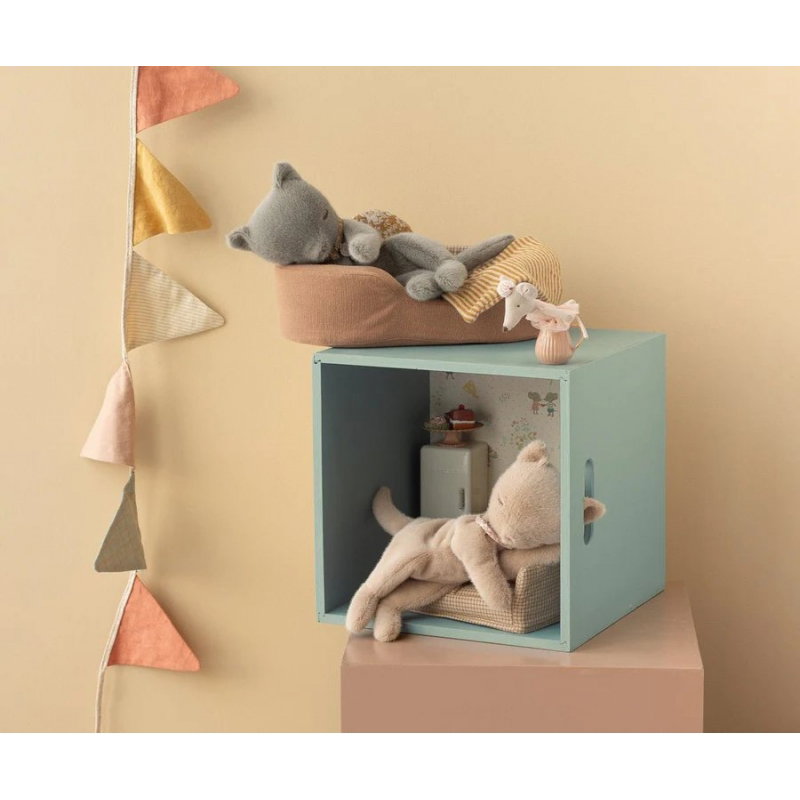 Petit chat endormi | Gris