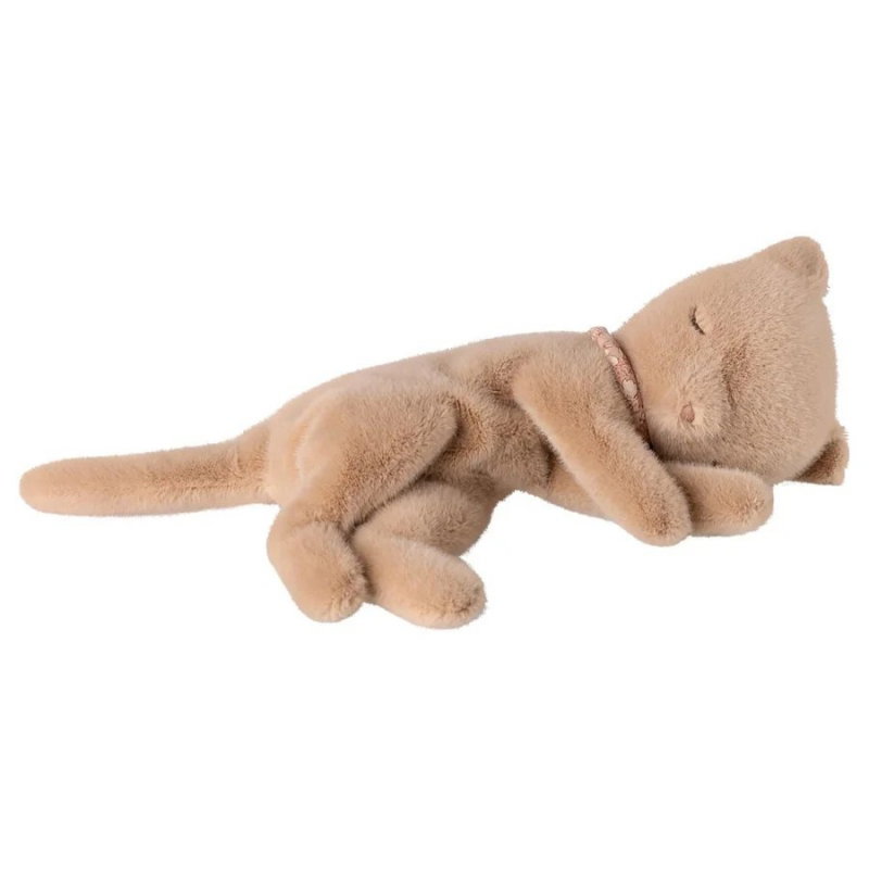 Petit chat endormi | Crème pêche