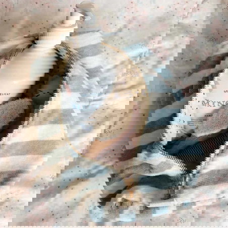 Trousse Vic éponge | Rayures blue cloud - Rose in April