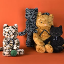 Chat Méloé | Rooxy