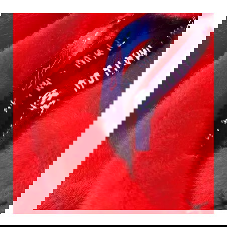 Lapin Méloé | Rouge - Mailou