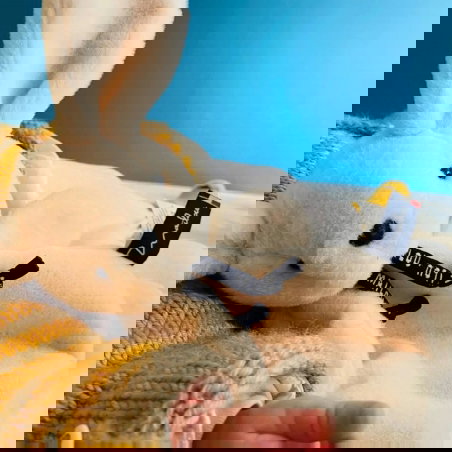 Lapin Dorlotin | Beige - Mailou