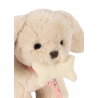Chiot Aiko