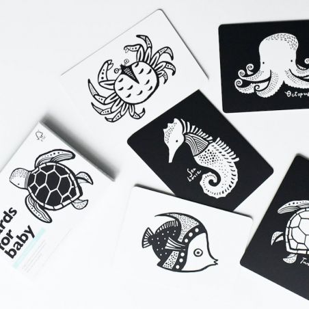 Cartes imagier Océan Cartes imagier Océan