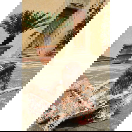 Chariot poussette-wagon | Vienna - Konges Slojd