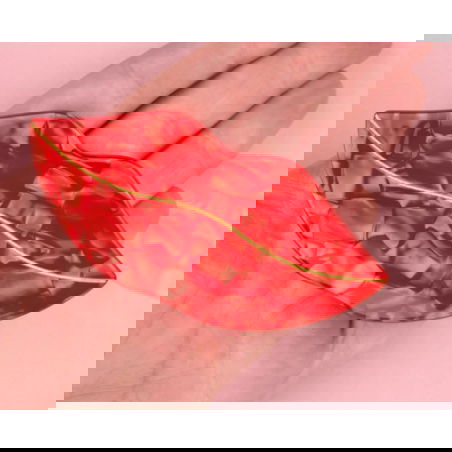 Grande pince à cheveux | Bouche - Coucou Suzette