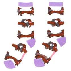 Chaussettes transparentes teckel