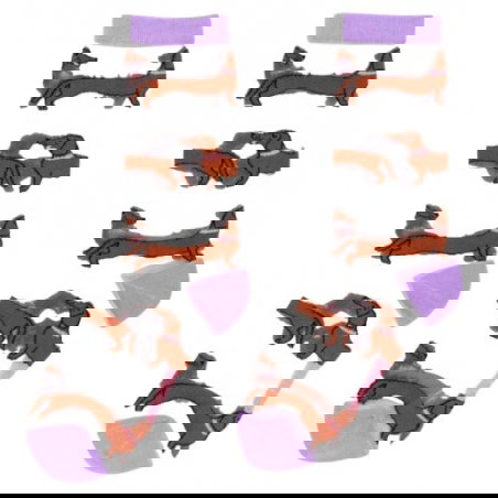 Chaussettes transparentes teckel - Coucou Suzette