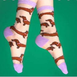 Chaussettes transparentes teckel