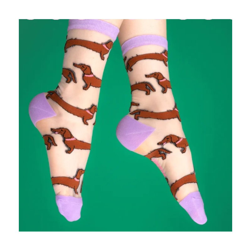 Chaussettes transparentes teckel