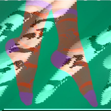 Chaussettes transparentes teckel - Coucou Suzette