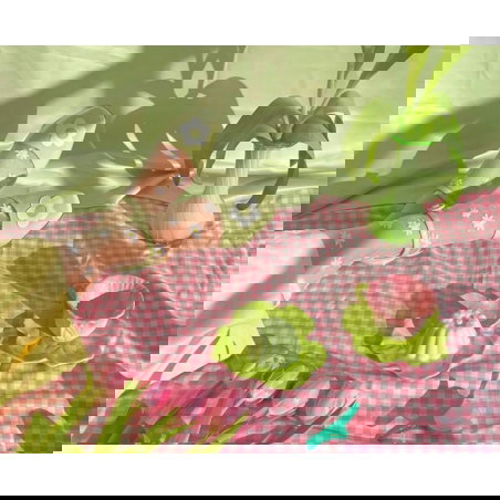 Chaussettes transparentes paquerettes - Coucou Suzette