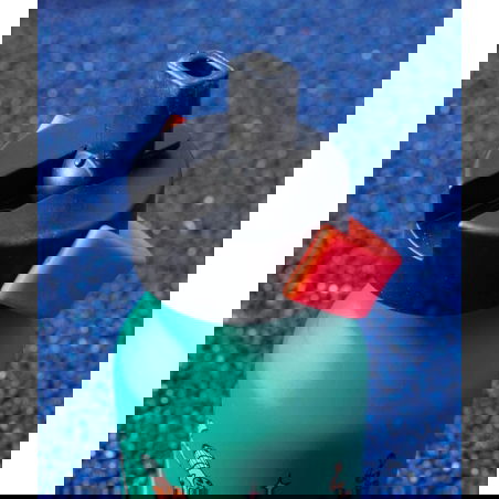 Gourde 350 ml |  Disco roar - Hello Hossy