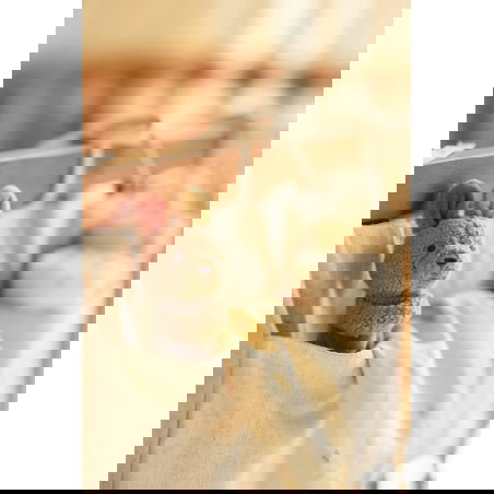 Hochet peluche | Kangaroots - Jollein