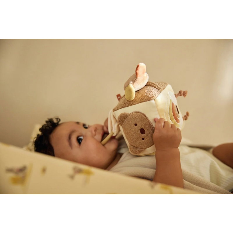 Cube d'activités | Kangaroots