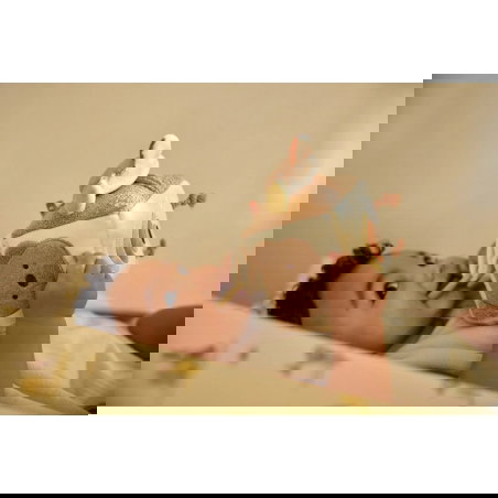 Cube d'activités | Kangaroots - Jollein