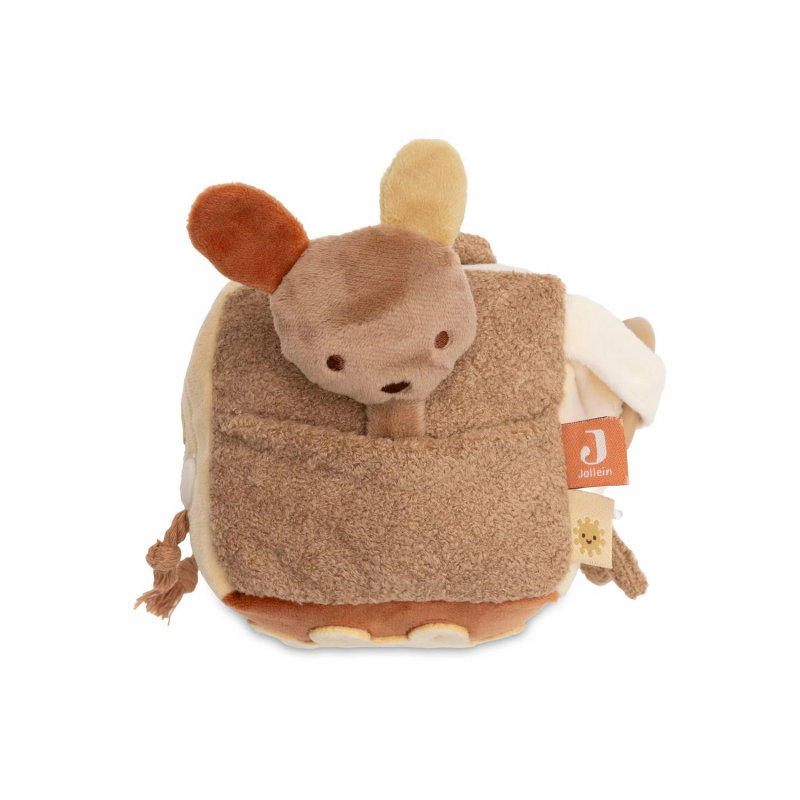 Cube d'activités | Kangaroots