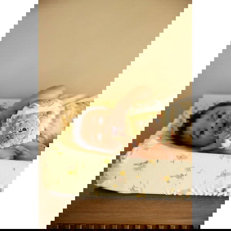 Cube d'activités | Kangaroots - Jollein