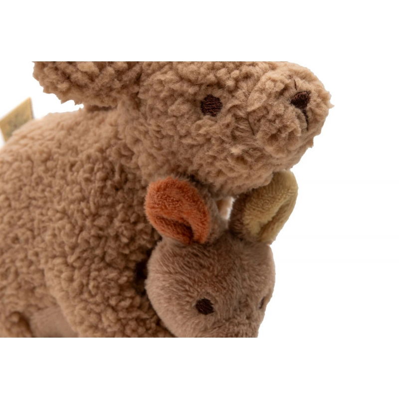 Jouet d'activités | Kangaroots