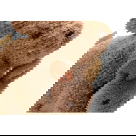 Jouet d'activités | Kangaroots - Jollein