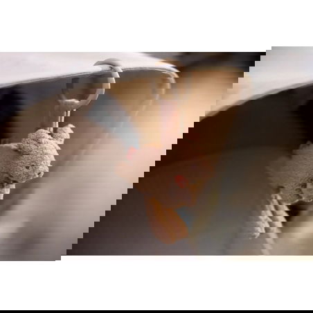 Jouet d'activités | Kangaroots - Jollein