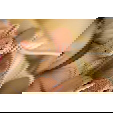 Doudou attache tétine | Kangaroots - Jollein