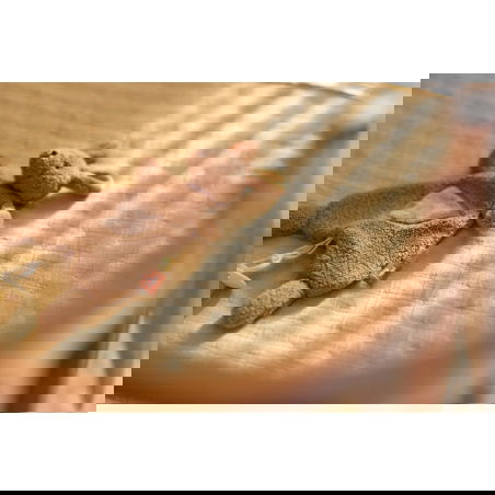 Doudou attache tétine | Kangaroots - Jollein