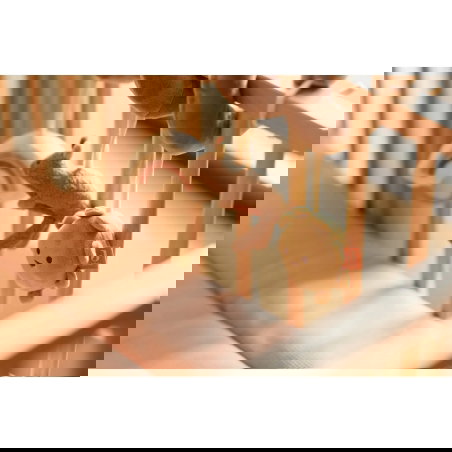 Spirale d'activité | Kangaroots - Jollein