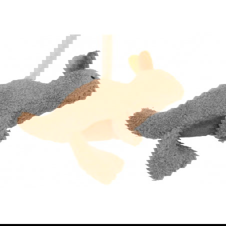 Spirale d'activité | Kangaroots - Jollein