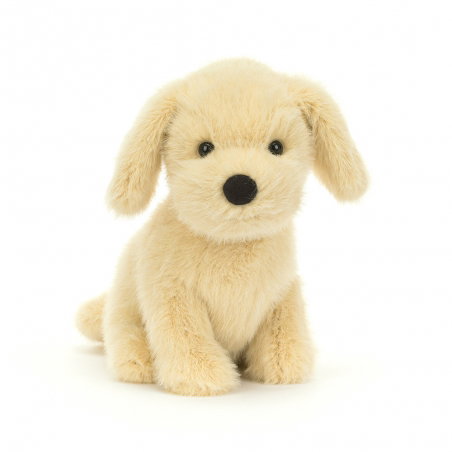 Chien Golden