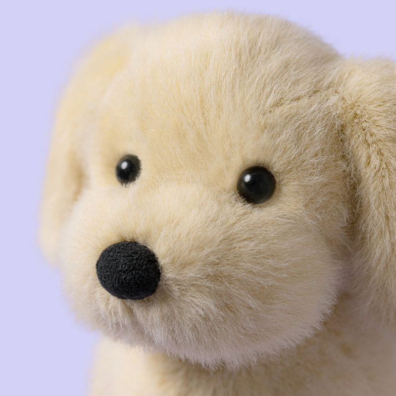 Chien Golden
