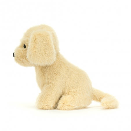 Chien Golden