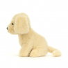 Chien Golden