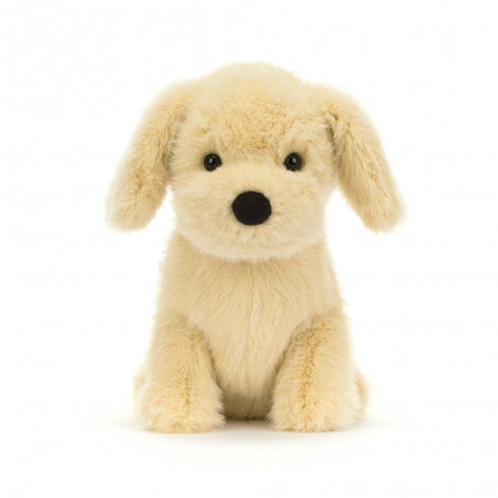 Chien Golden