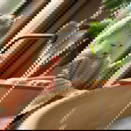 Poncho reversible | Sun - Jollein