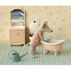 Grande soeur souris dans sa boite