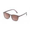 Lunettes de soleil Adulte (E) | Old Leather