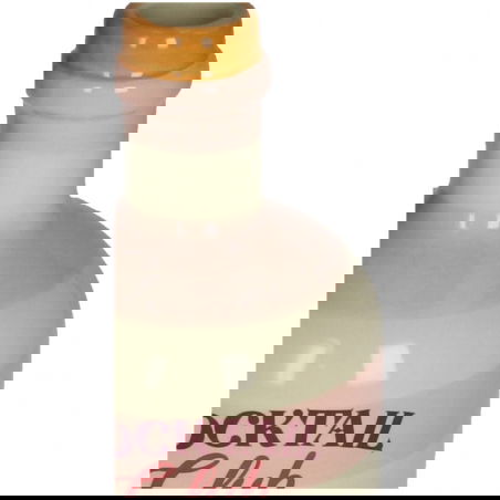 Vase Bouteille cocktail| Rose - Sélection déco