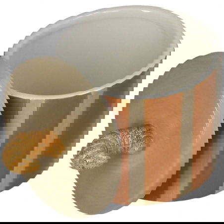 Boîte souvenir | Croissant - Sélection déco