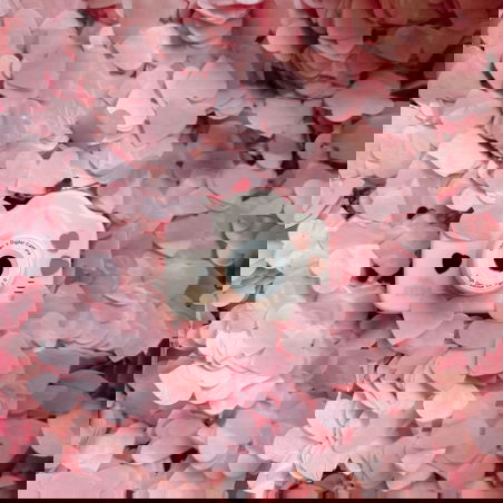 Appareil photo | Blush flower - Mrs Ertha