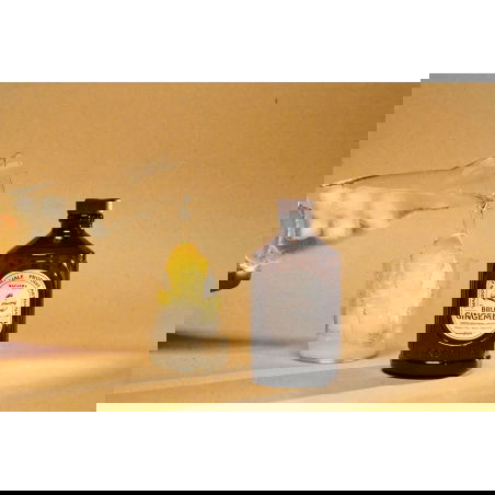 Sirop Brut | Gingembre - Bacanha