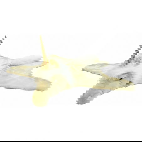 Déguisement/Tapis | Licorne beige - Wild and soft